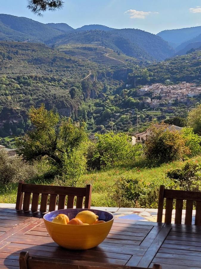 مبيت وإفطار Albuñuelas Cortijo El Pino Retreat المظهر الخارجي الصورة