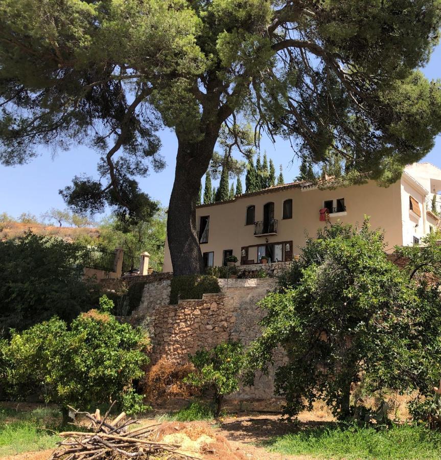 مبيت وإفطار Albuñuelas Cortijo El Pino Retreat المظهر الخارجي الصورة