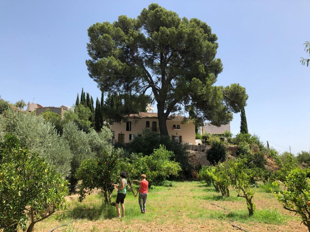 مبيت وإفطار Albuñuelas Cortijo El Pino Retreat المظهر الخارجي الصورة