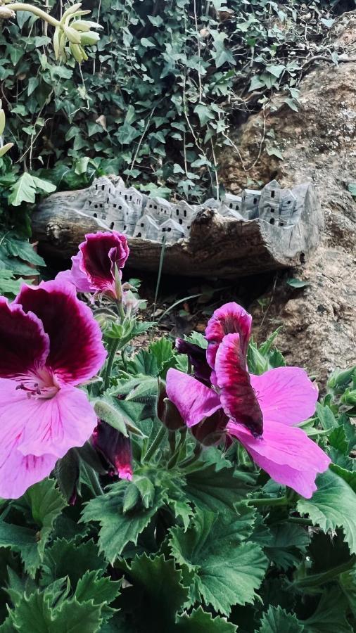 مبيت وإفطار Albuñuelas Cortijo El Pino Retreat المظهر الخارجي الصورة